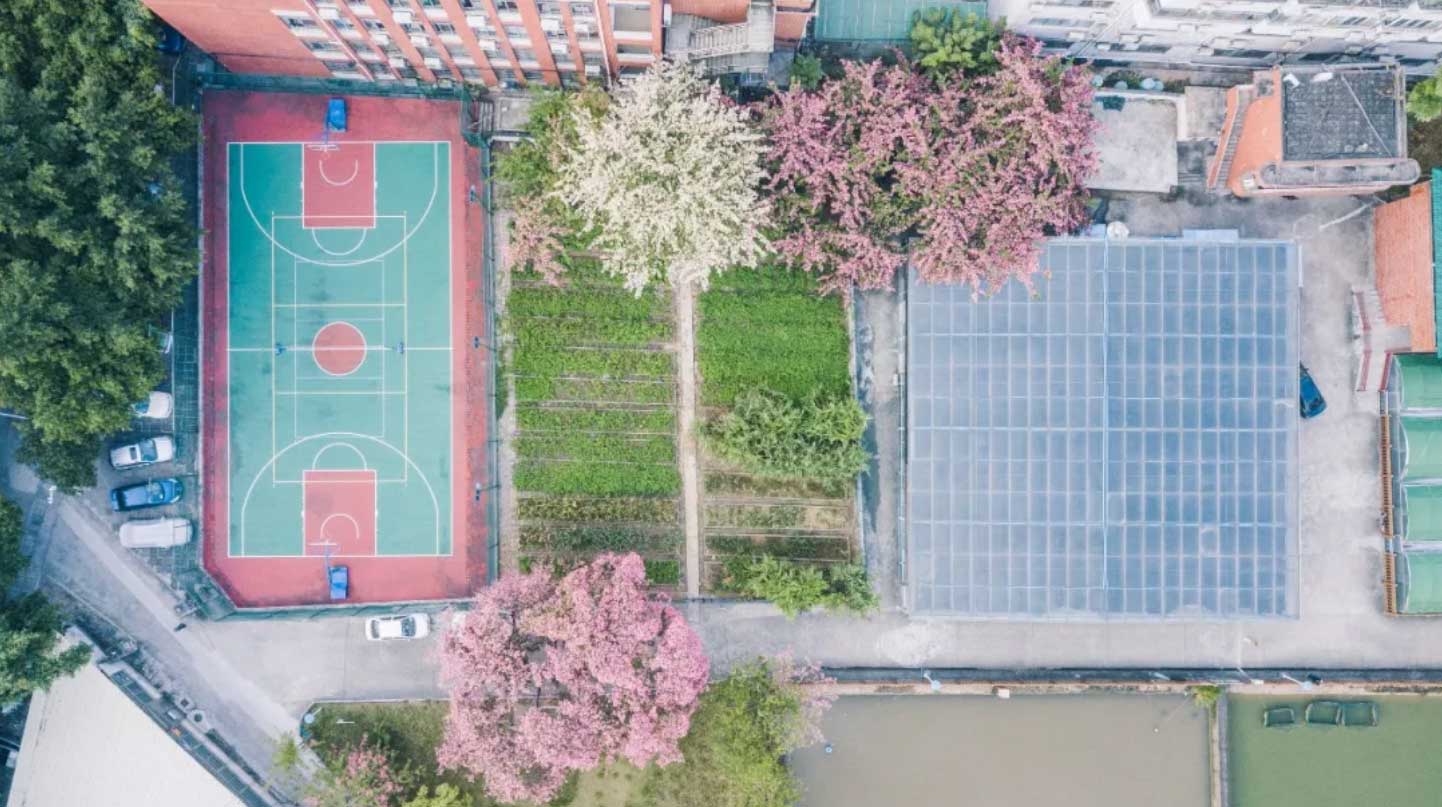 南粤优师风景