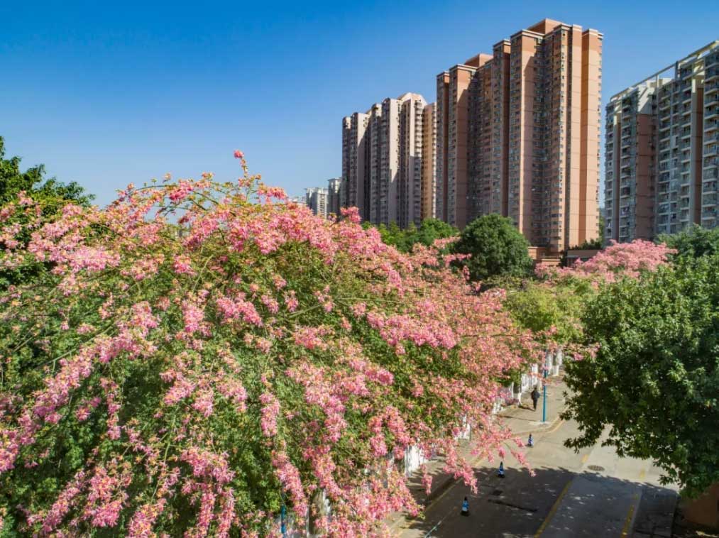 南粤优师风景