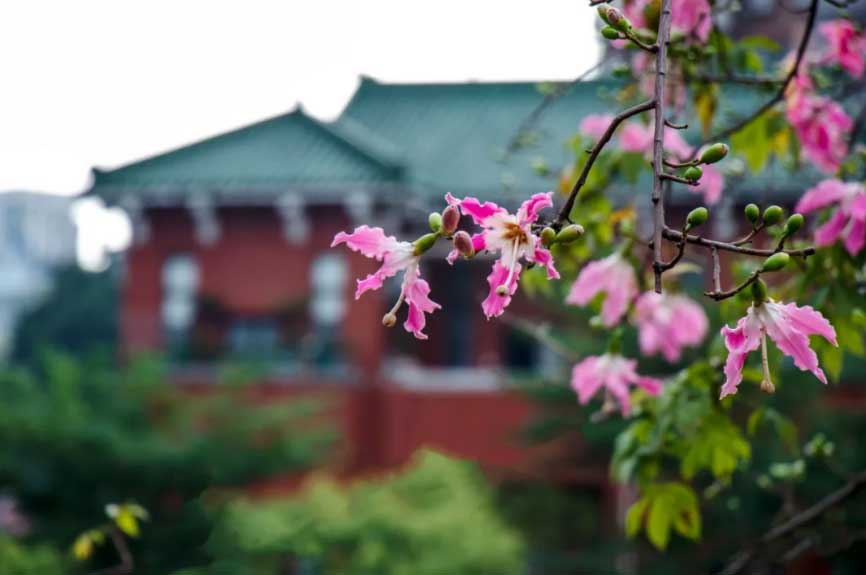 南粤优师风景