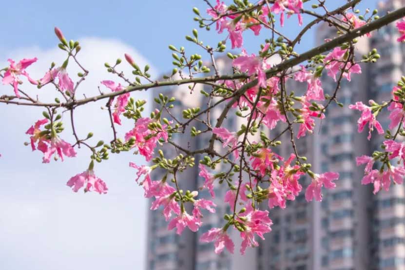 南粤优师风景