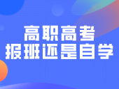 备考24年3+证书高职高考报班还是自学?快看看你适合哪种