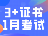 明确了！2024年3+证书于1月考试，3月填志愿！