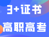 速看！广东省3+证书高职高考语数英三科考试大纲一览