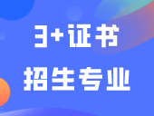 广东信息工程职业学院2024年3+证书招生专业