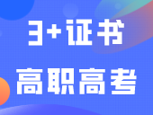 3+证书高职高考需要考多少分才能填志愿？