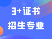 2024年已有6所本科院校公布3+证书招生专业！
