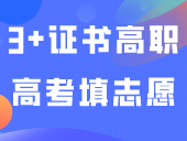 快看！3+证书高职高考填志愿如何择校？