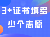 3+证书填多少个志愿？以什么方式录取？平行志愿又是什么？