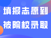 从填报志愿到被院校录取，流程是怎样的？