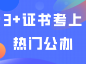 3+证书想考上热门公办需要什么水平？