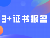 3+证书报名可以填写多少个技能证书？