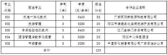 2021年阳江职业技术学院高职扩招专项行动招生简章(图2)